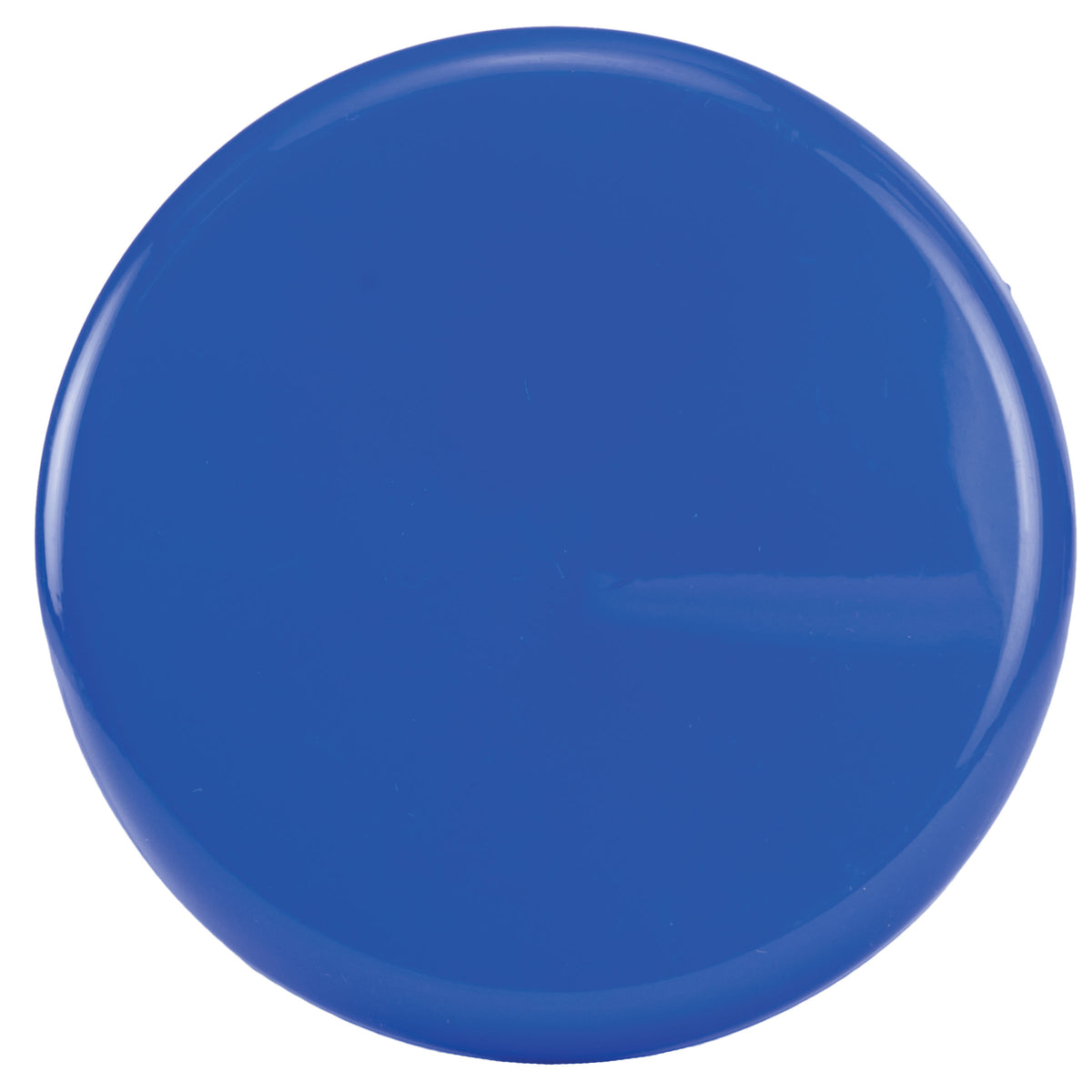 4" Flyer (KS-0304) - Blue