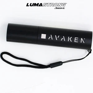 reNew Rechargeable Flashlight (L210CR)